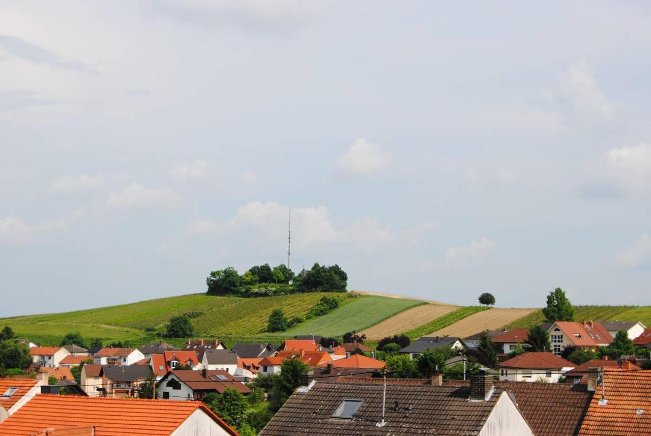 Ferienwohnung Kirchbergblick Hackenheim Exterior foto